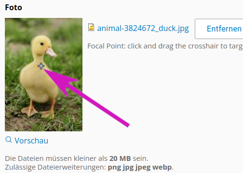 screenshot with form elements